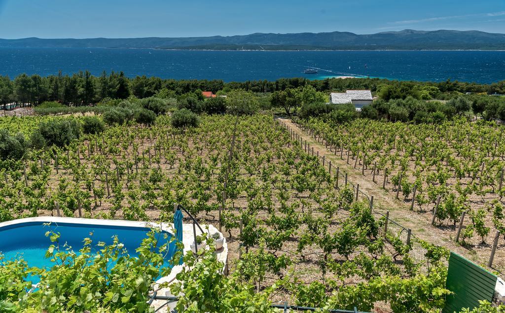 Holiday Home Vineyard House Bol Exteriör bild